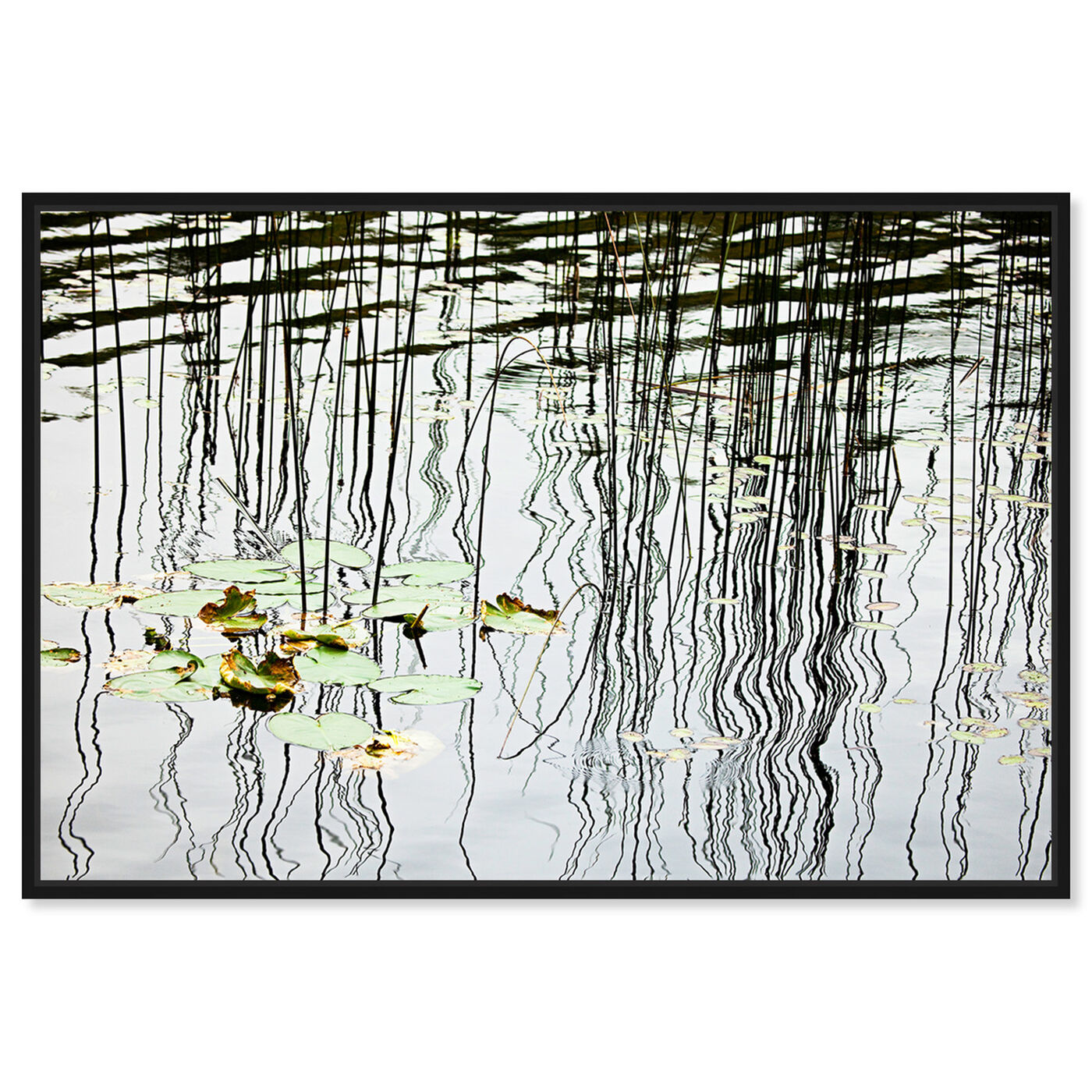 Front view of Lily Pads and Reflections on a Lake by David Fleetham featuring nature and landscape and nature art.