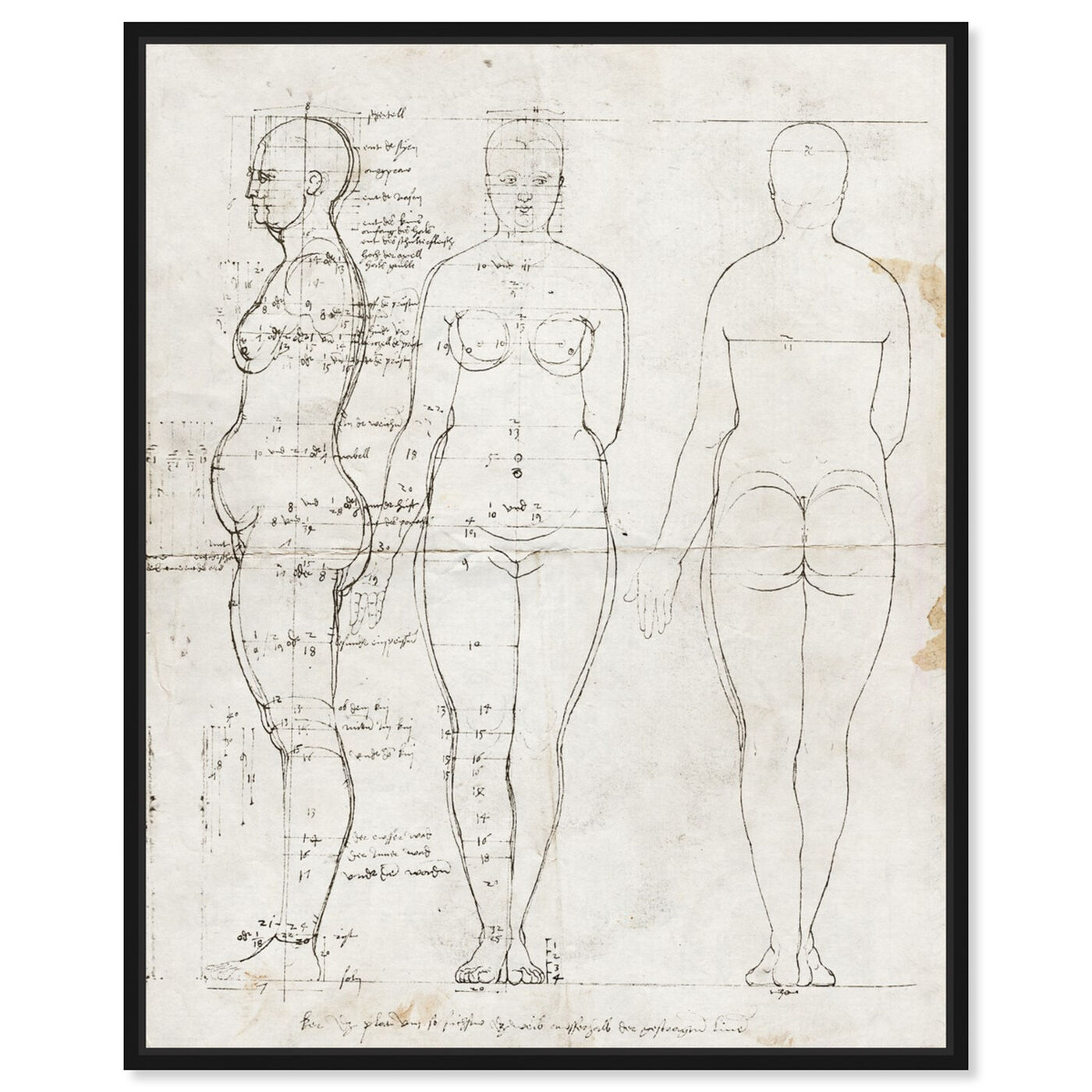 Front view of Dürer Anatomical Engraving 1513 II featuring people and portraits and silhouettes art.