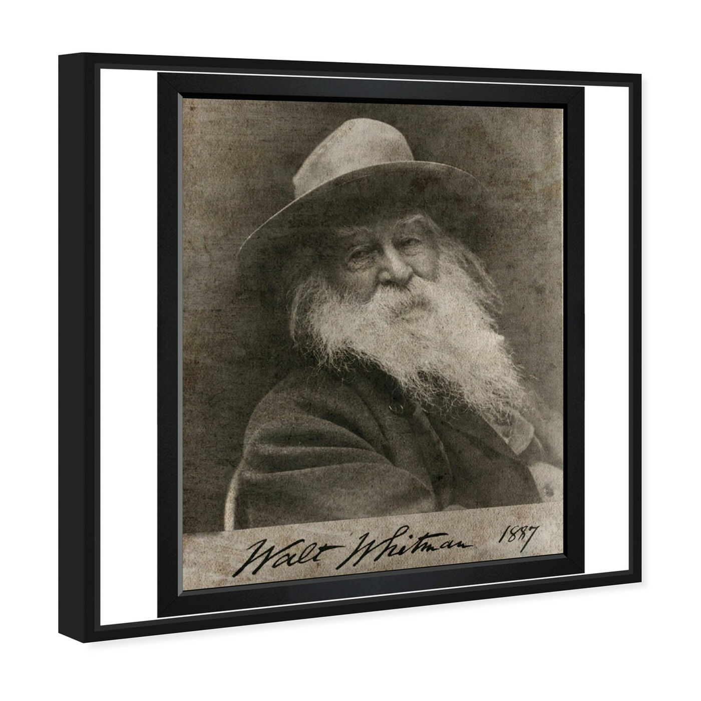 Angled view of Walt Whitman featuring people and portraits and celebrities art.