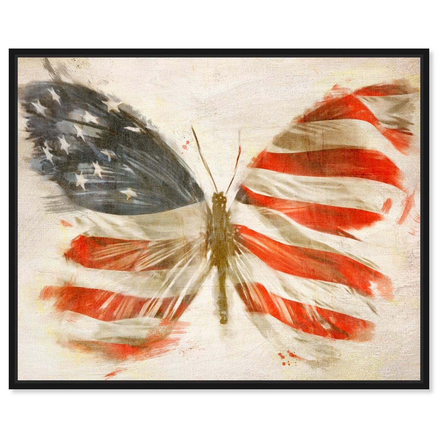 Front view of American Butterfly featuring maps and flags and american countries flags art.