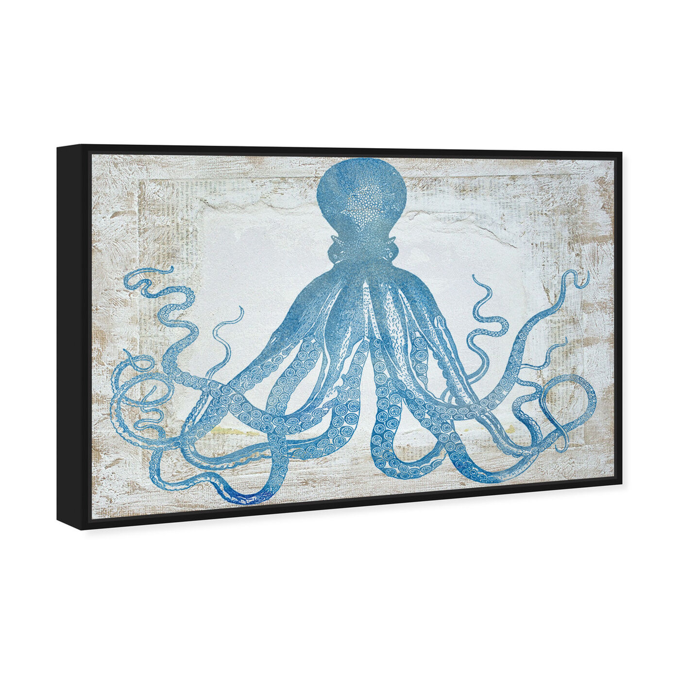 Angled view of Squid Blue featuring nautical and coastal and marine life art.