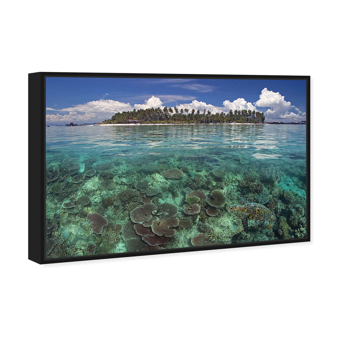 Angled view of Mabul Island and Turtle by David Fleetham featuring nautical and coastal and coastal landscapes art.