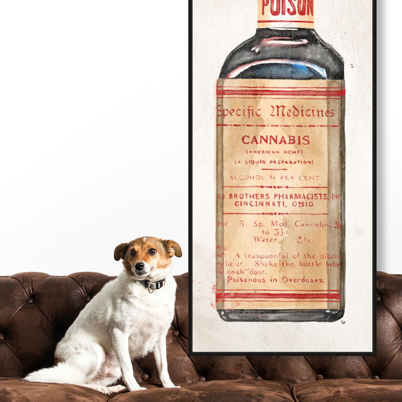Hanging view of Cannabis featuring drinks and spirits and bar art.