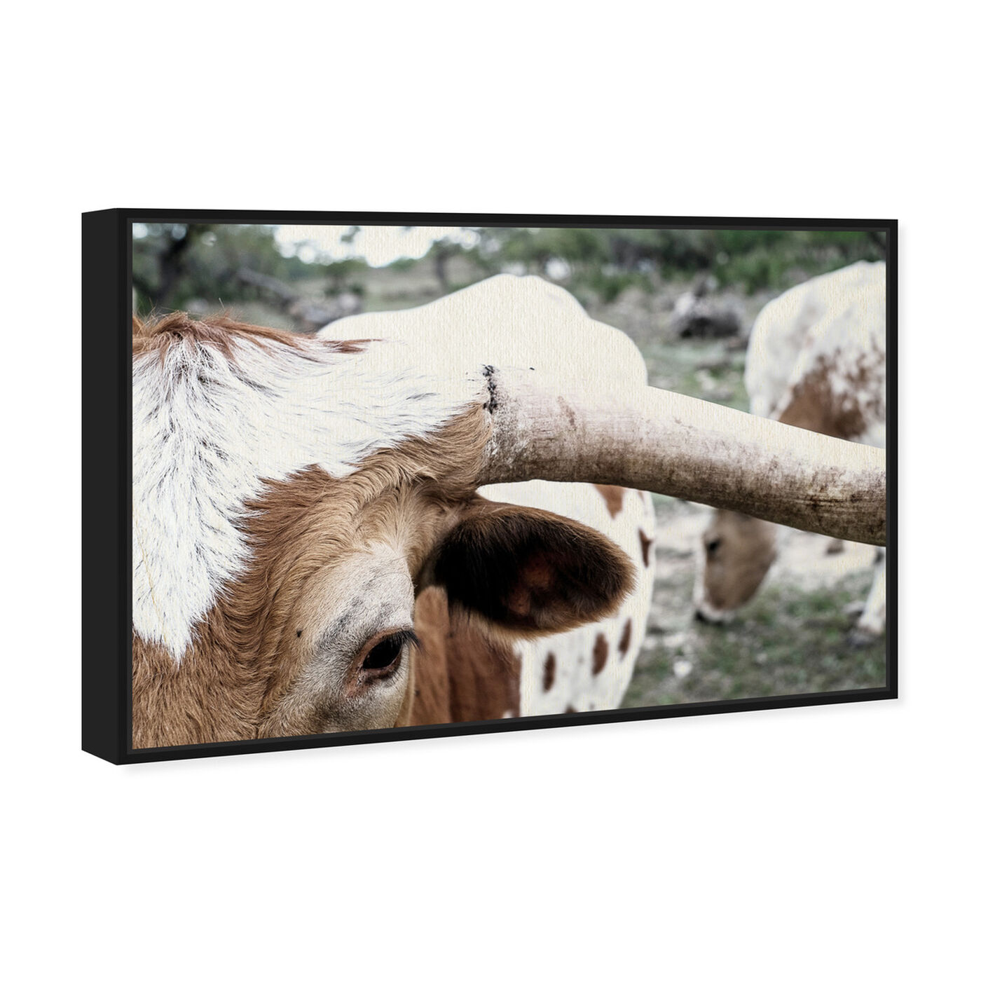 Angled view of Mooh featuring animals and farm animals art.