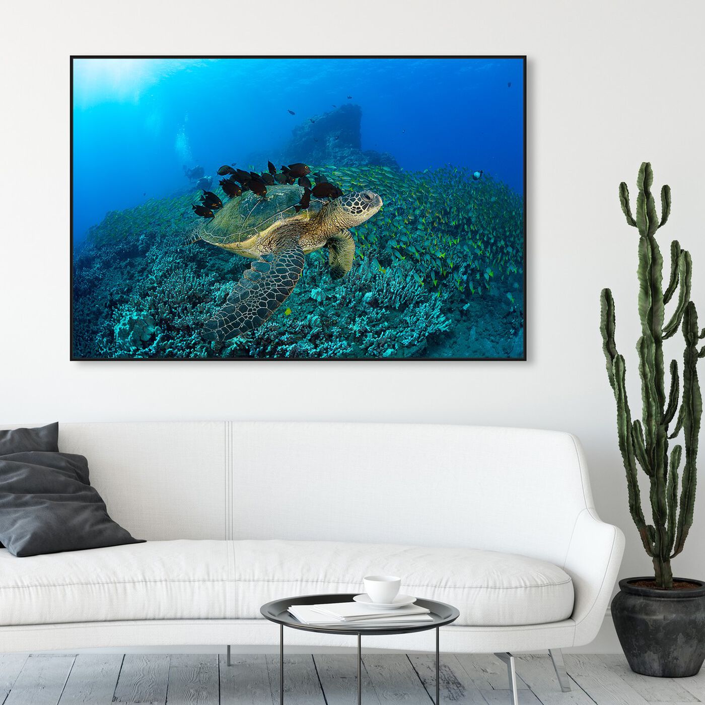 Hanging view of Green Sea Turtle and Divers by David Fleetham featuring nautical and coastal and marine life art.