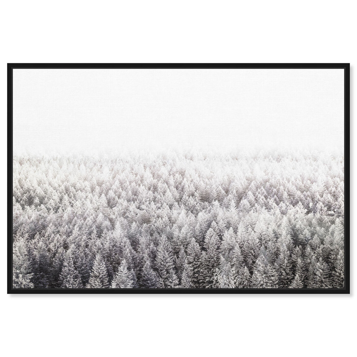 Front view of Pine Forest  Gray featuring nature and landscape and forest landscapes art.
