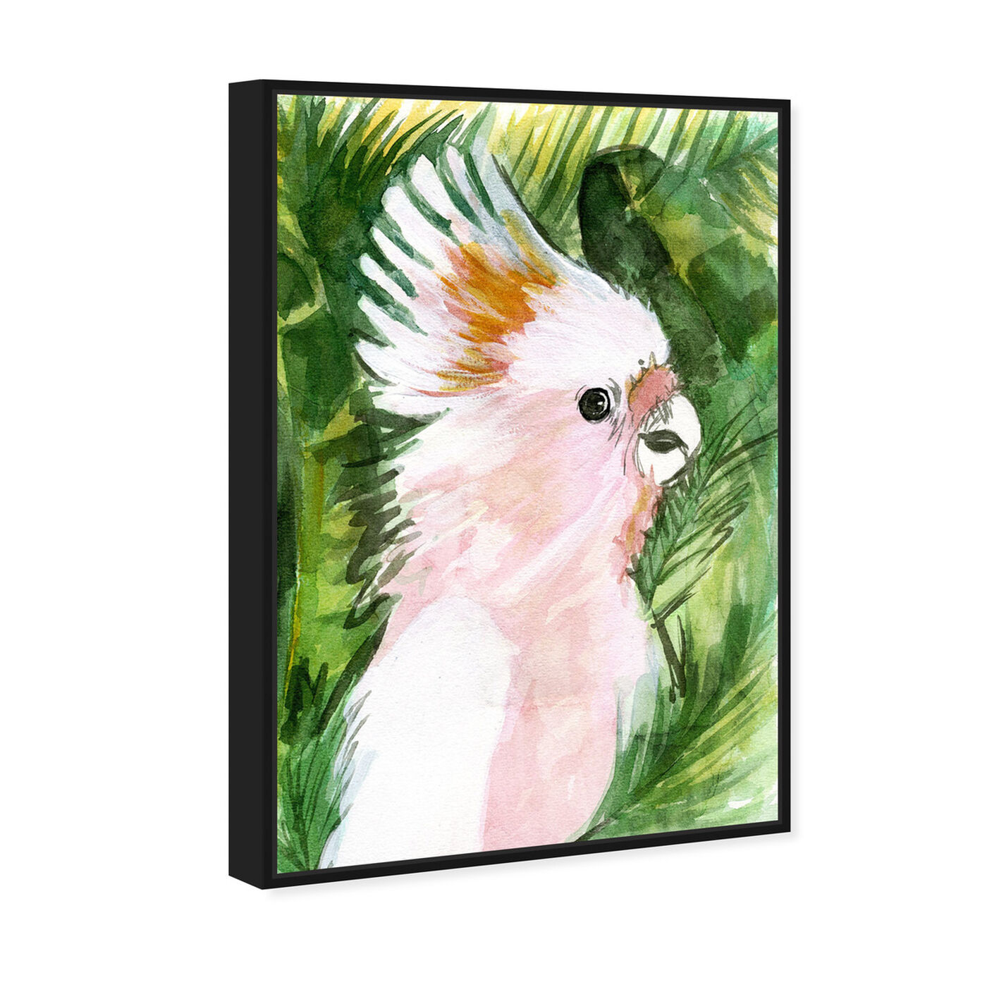 Angled view of Tropical Cockatoo featuring animals and birds art.