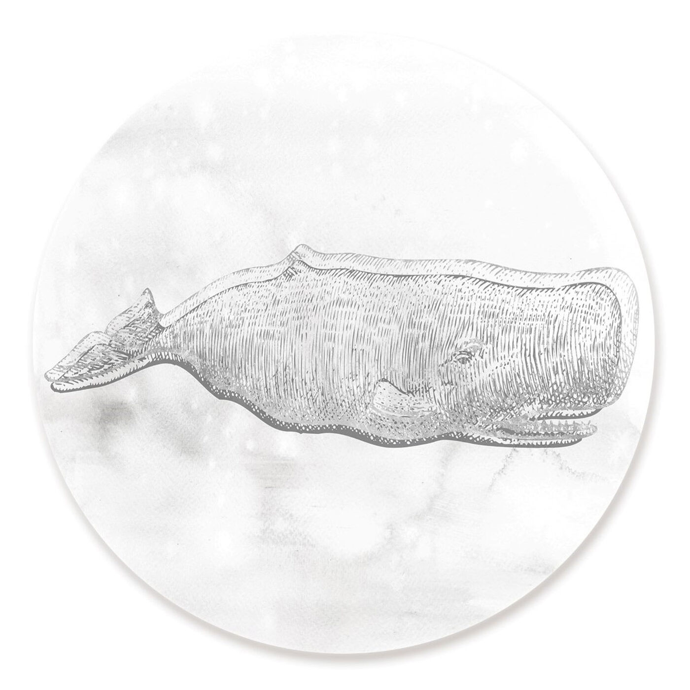 Front view of Blue Whale Silver Circle featuring nautical and coastal and marine life art.