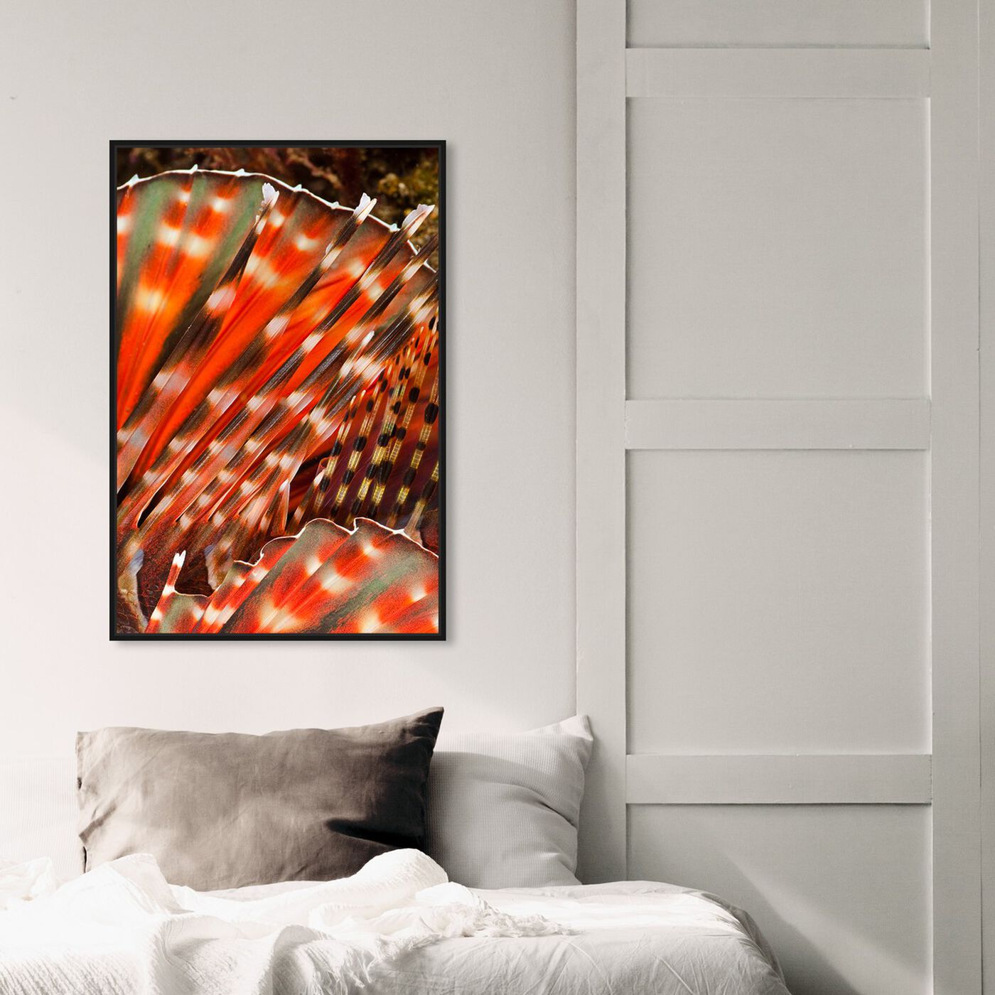 Hanging view of Zebra Lionfish by David Fleetham featuring nautical and coastal and marine life art.