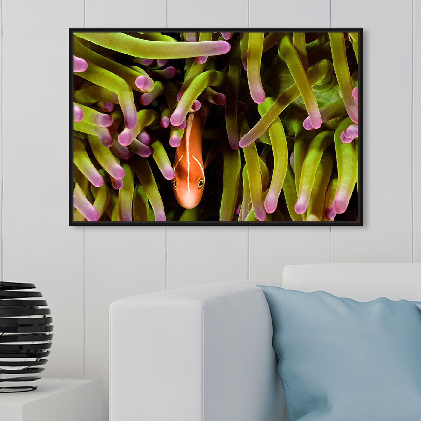 Hanging view of Anemone Fish by David Fleetham featuring nautical and coastal and marine life art.