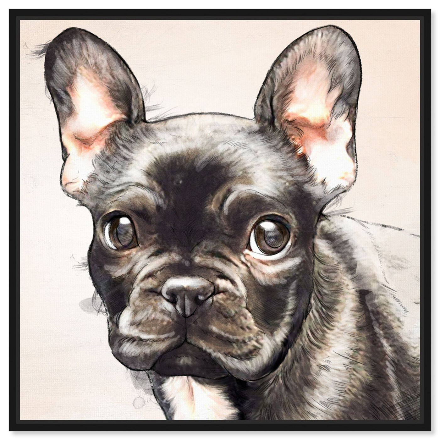 Front view of Frenchie Watercolor Black featuring animals and dogs and puppies art.