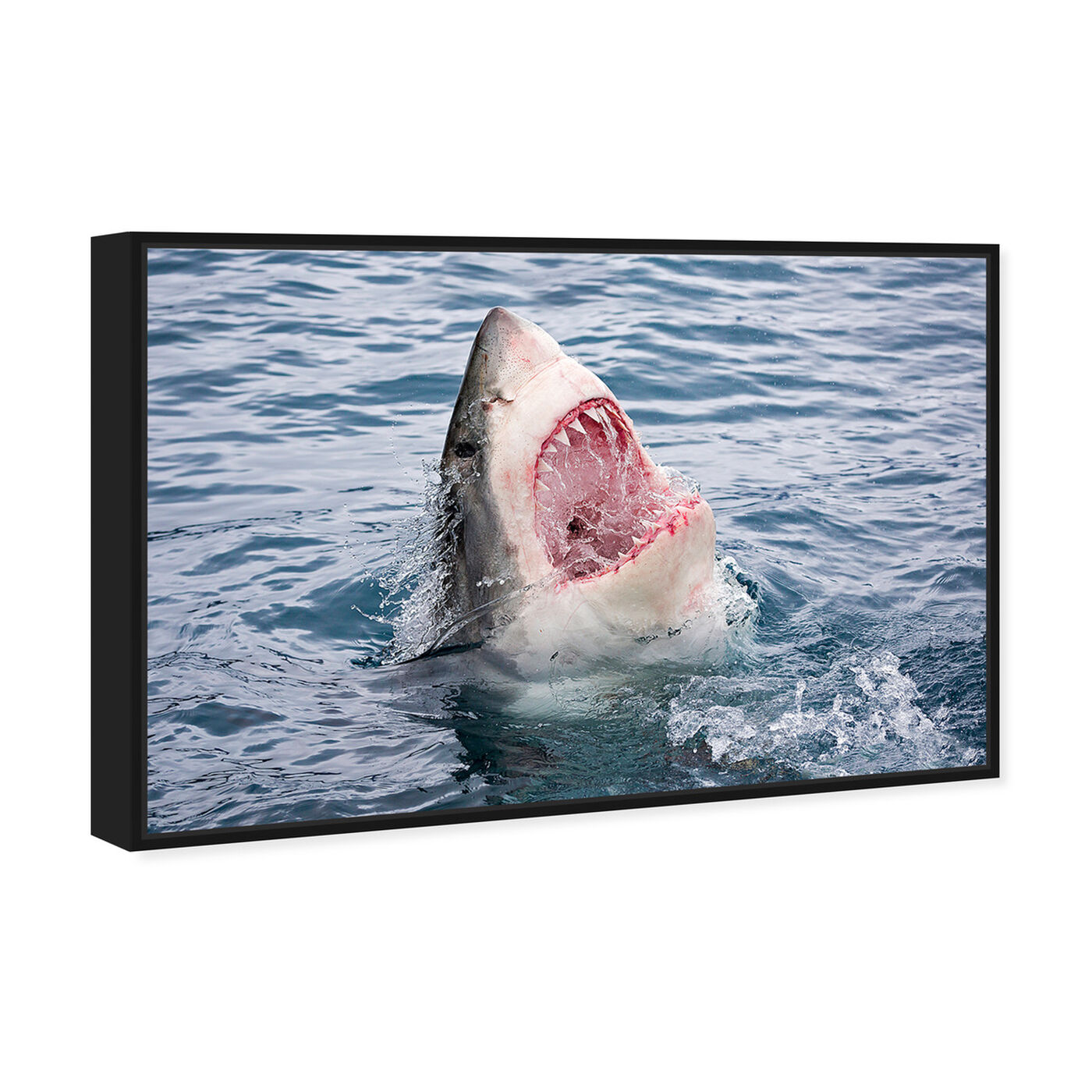 Angled view of Geat White Shark Teeth by David Fleetham featuring animals and sea animals art.