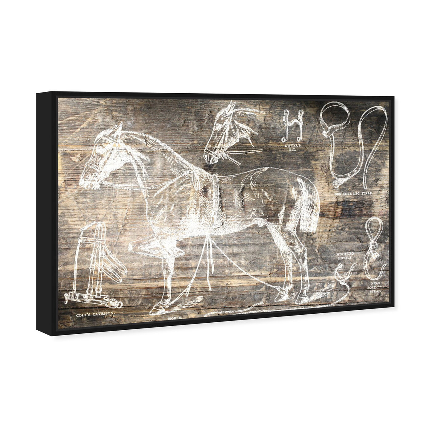 Angled view of Horse Breaking Guide featuring animals and farm animals art.