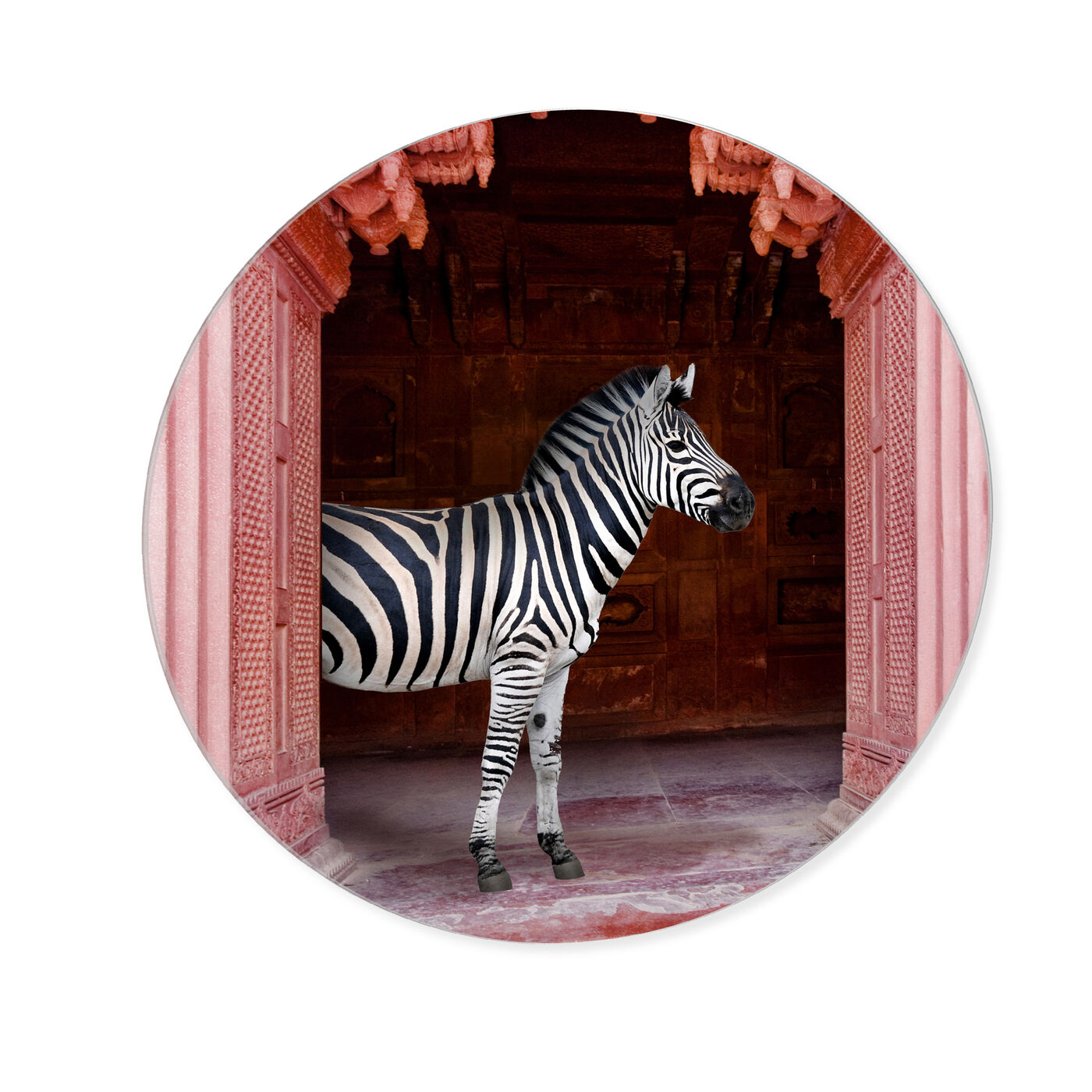 Zebras Apartment is Coral Pink - Round Acrylic Art