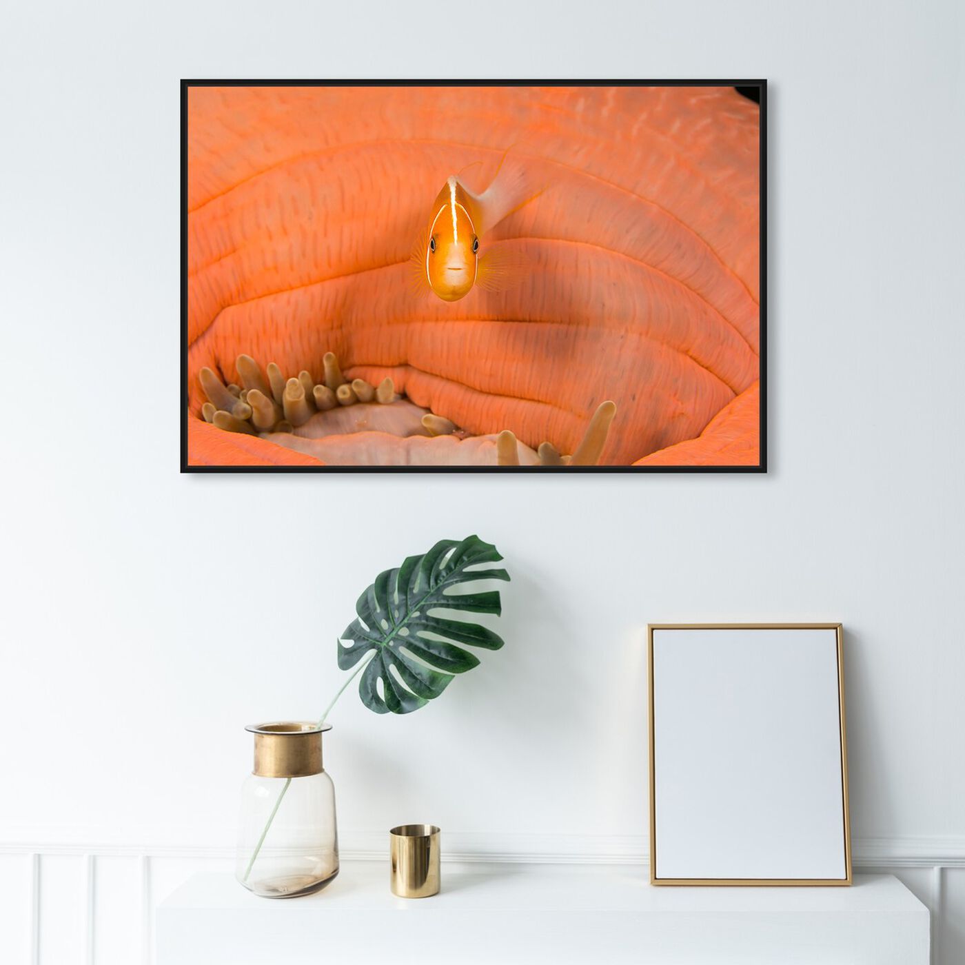 Hanging view of Peach Anemonefish Close Up by David Fleetham featuring nautical and coastal and marine life art.