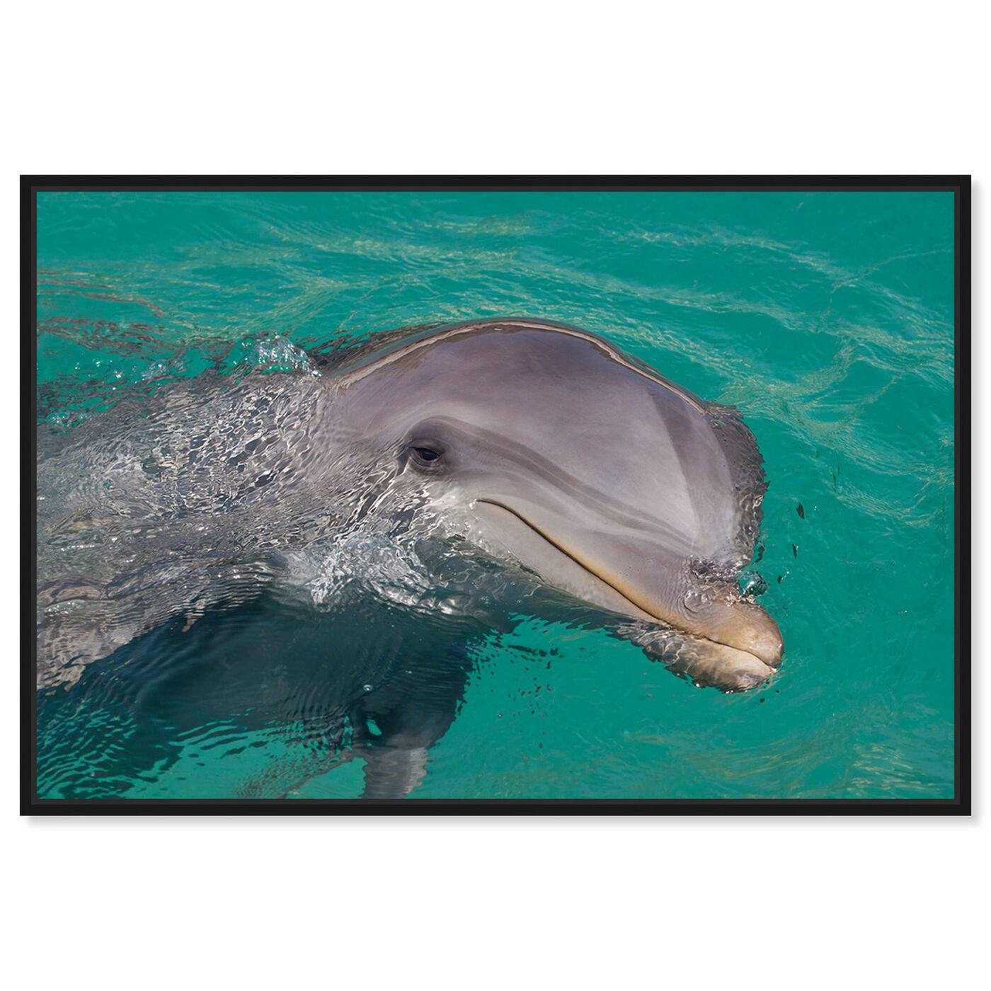 Front view of Atlantic Bottlenose Dolphin by David Fleetham featuring animals and sea animals art.