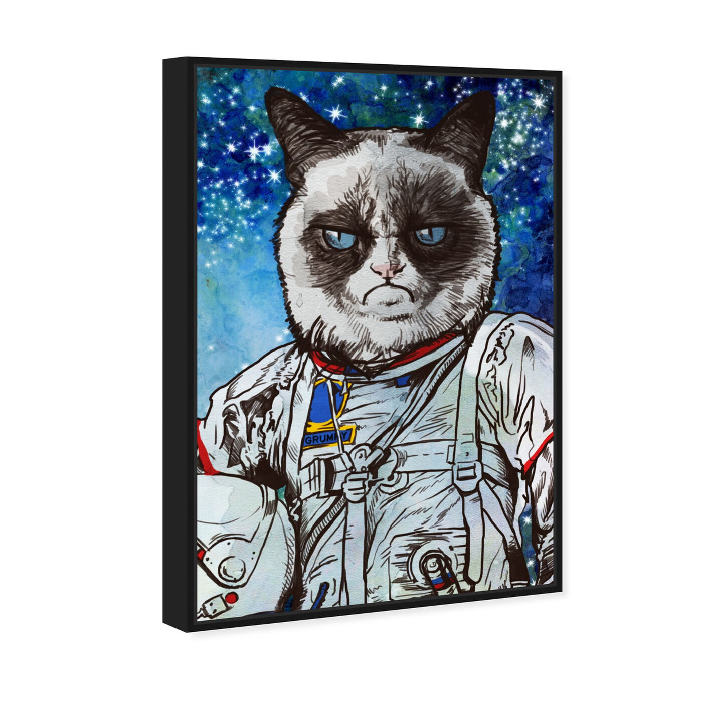 Angled view of Captain Grumpy featuring animals and cats and kitties art.