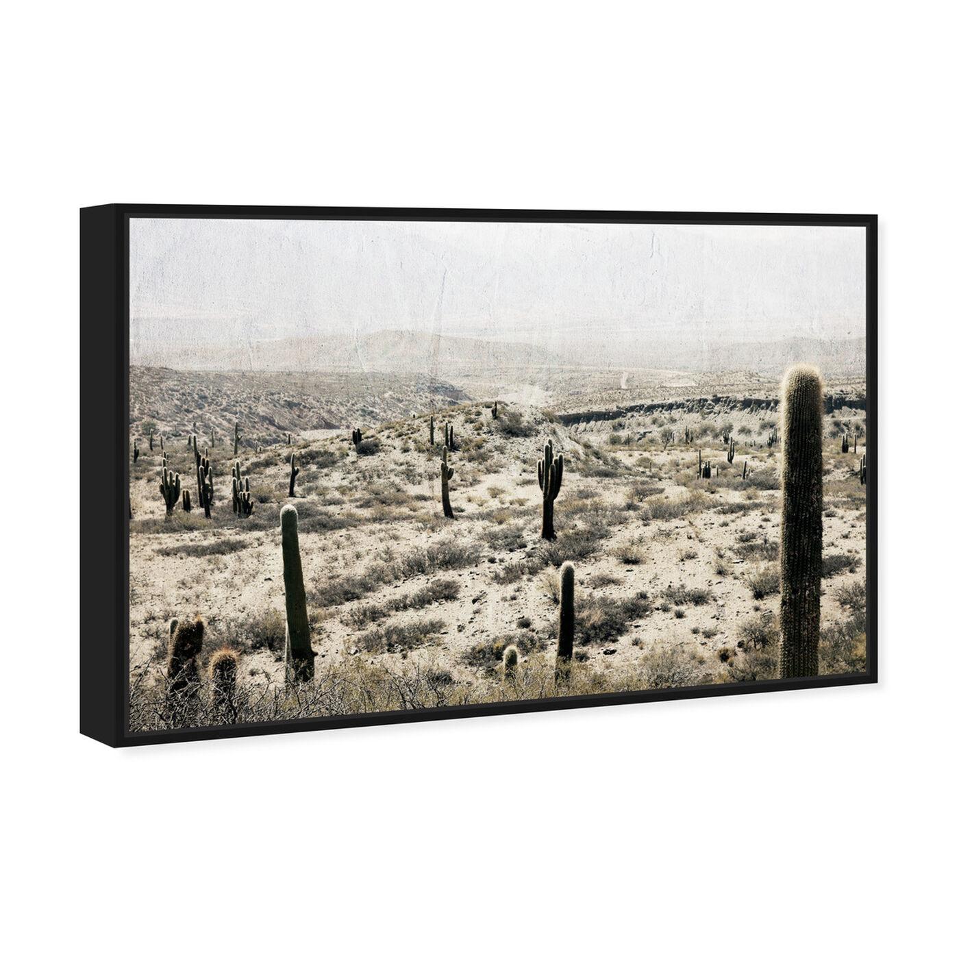 Angled view of Down South featuring nature and landscape and desert landscapes art.