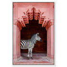 Front view of Zebras Apartment is Coral Pink featuring animals and zoo and wild animals art. image number null