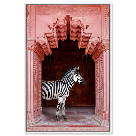 Zebras Apartment is Coral Pink