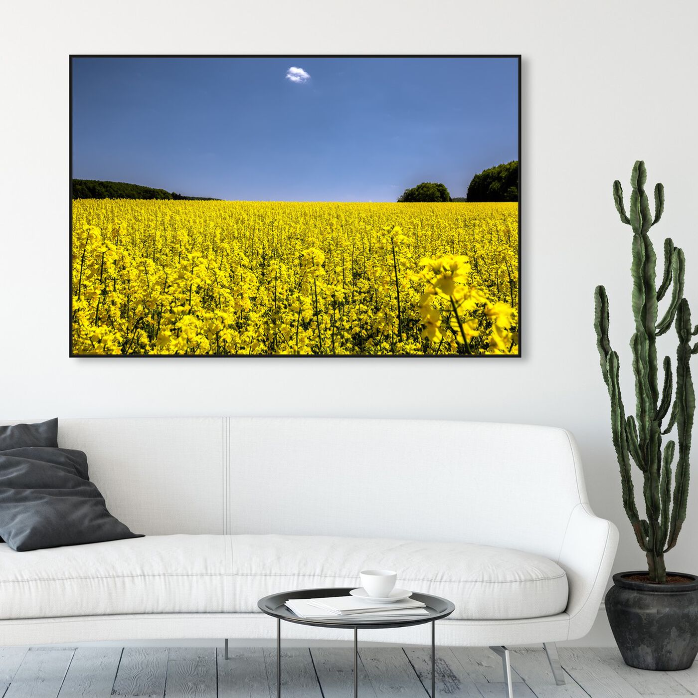 Hanging view of Curro Cardenal - Fields of Gold II featuring nature and landscape and country landscapes art.