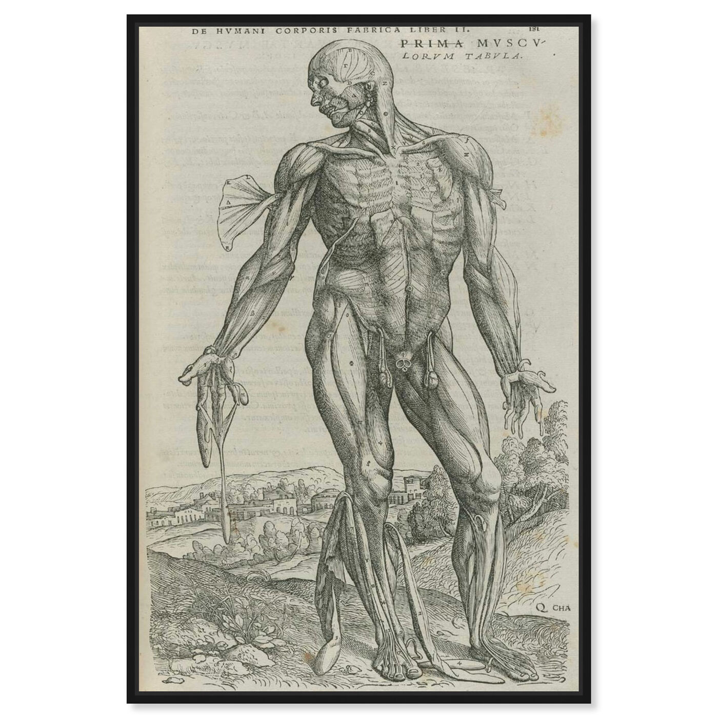 Front view of Vesalius III - The Art Cabinet featuring classic and figurative and classical figures art.