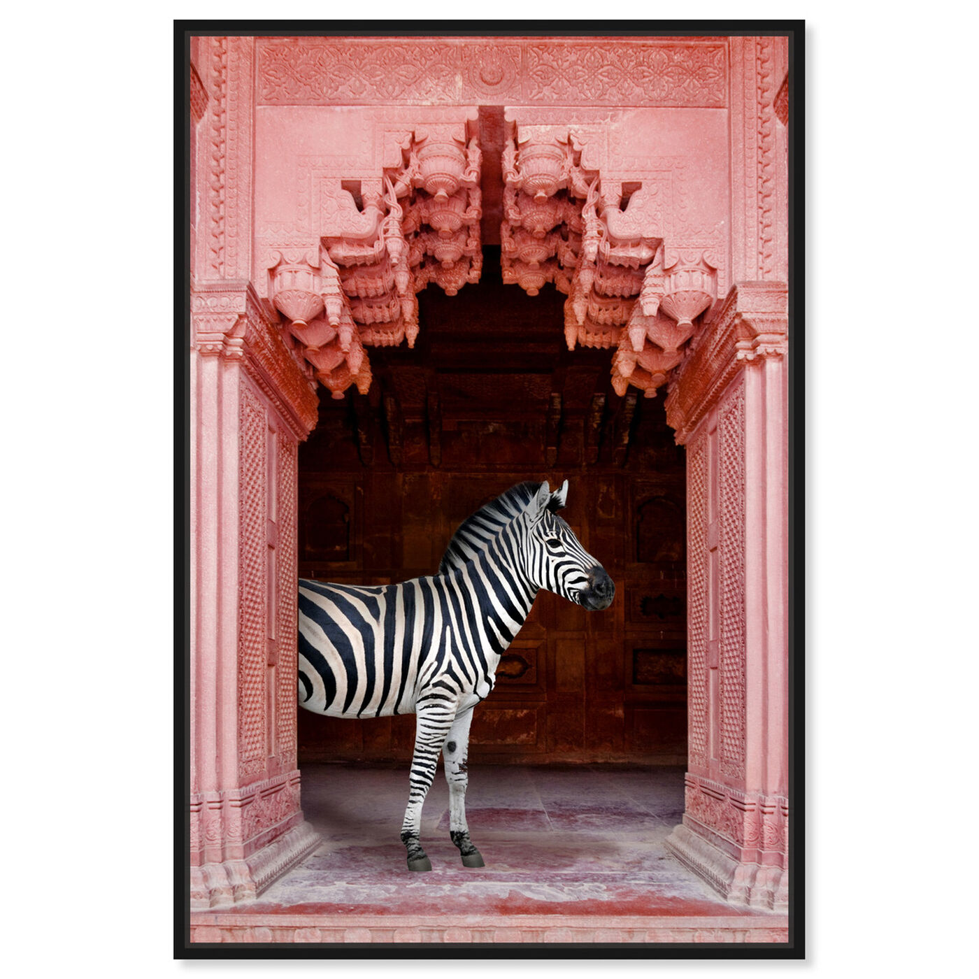 Front view of Zebras Apartment is Coral Pink featuring animals and zoo and wild animals art.