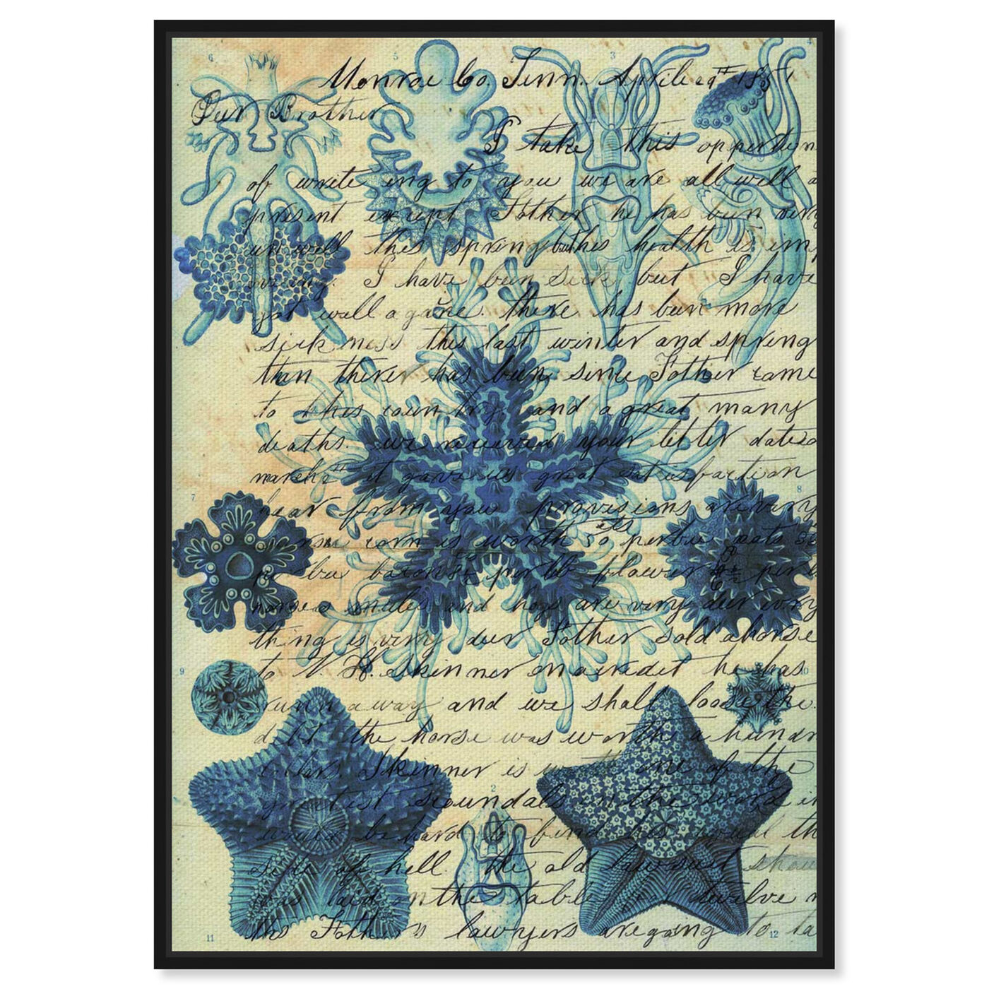 Front view of Starfish in Blue featuring nautical and coastal and marine life art.