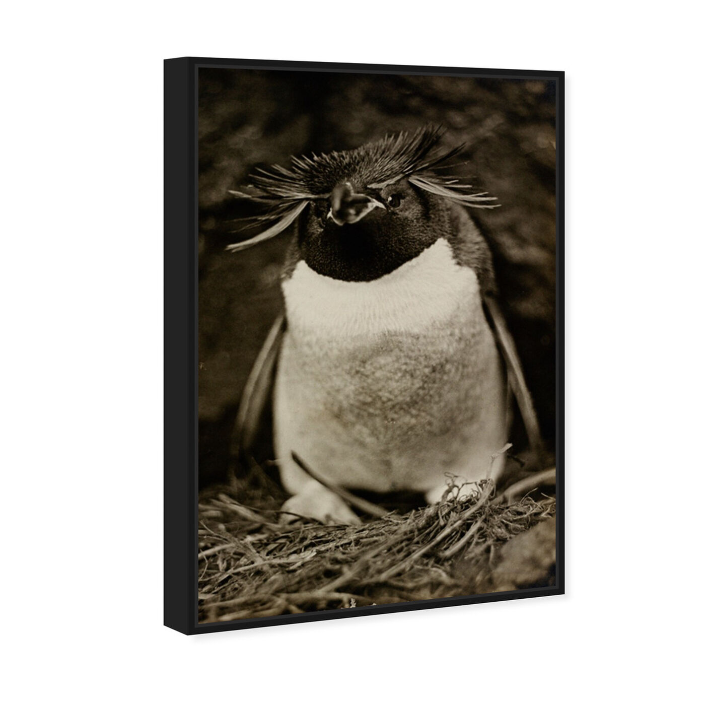 Angled view of Sclater Penguin - The Art Cabinet featuring animals and birds art.