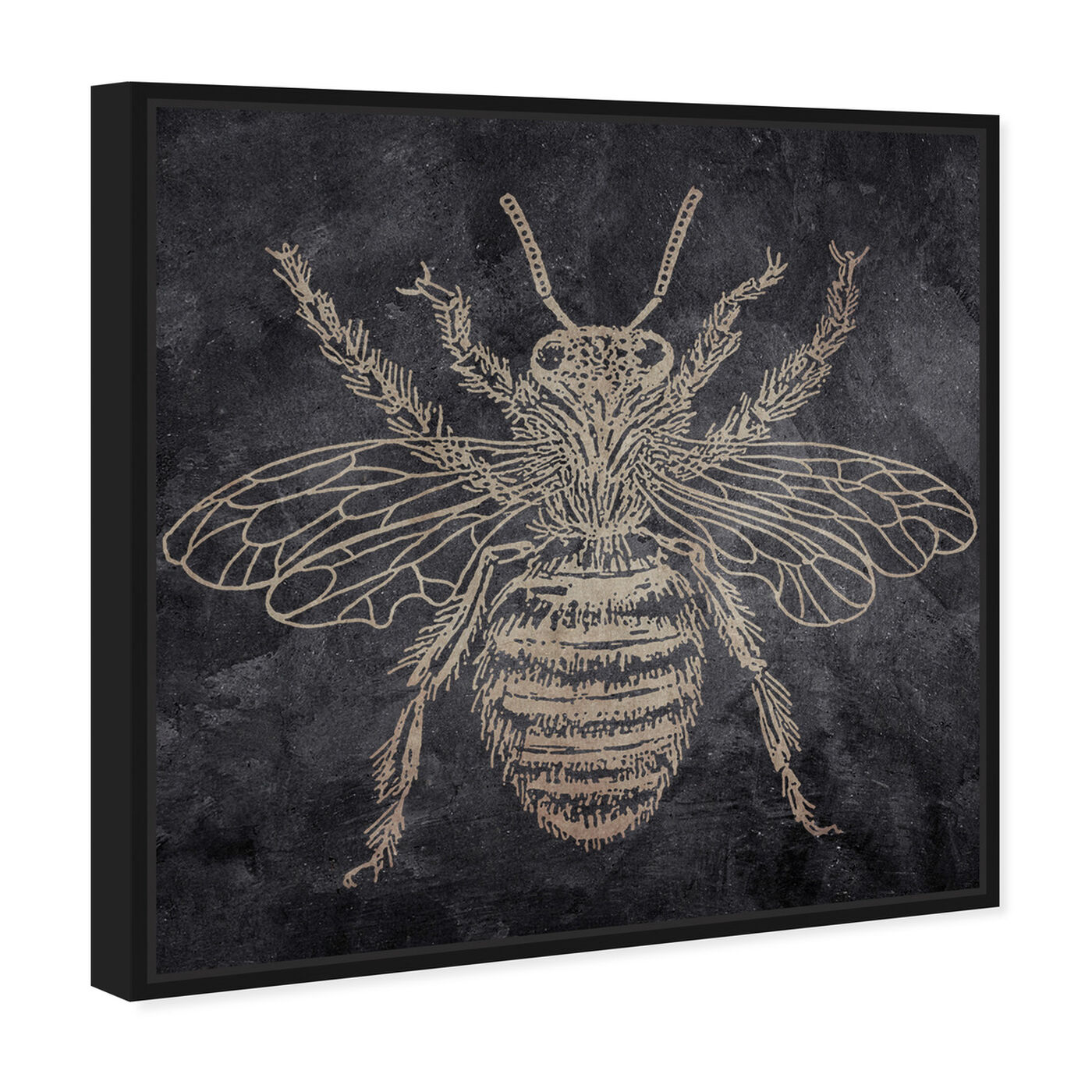 Angled view of Bee featuring animals and insects art.