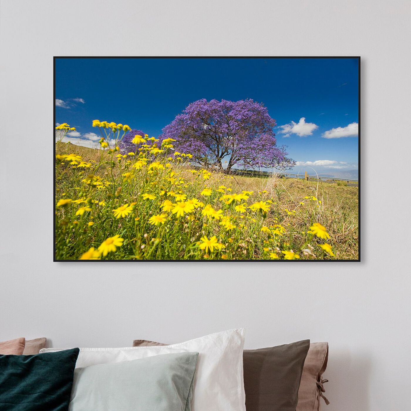 Hanging view of Jacaranda Tree by David Fleetham featuring nature and landscape and country landscapes art.