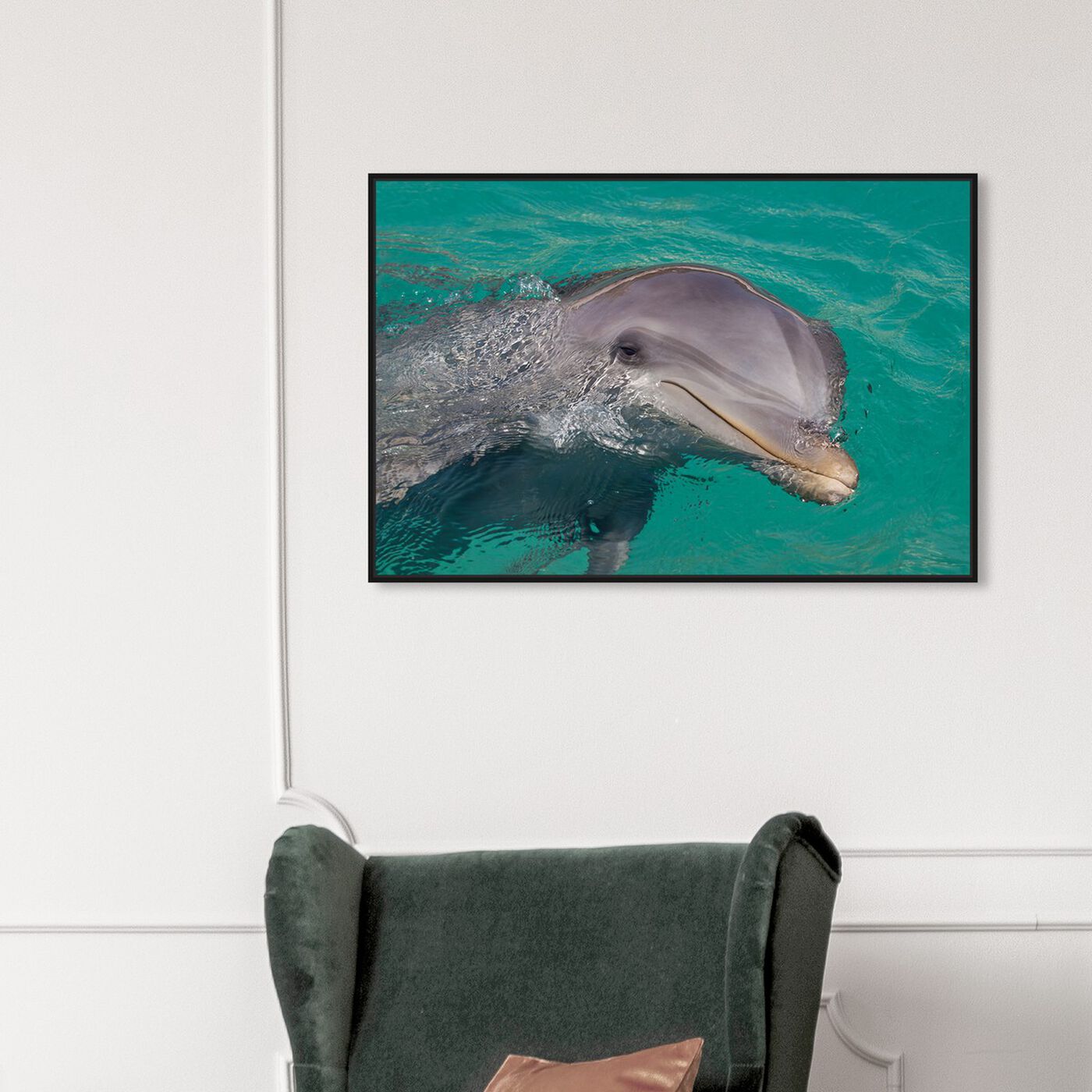 Hanging view of Atlantic Bottlenose Dolphin by David Fleetham featuring animals and sea animals art.