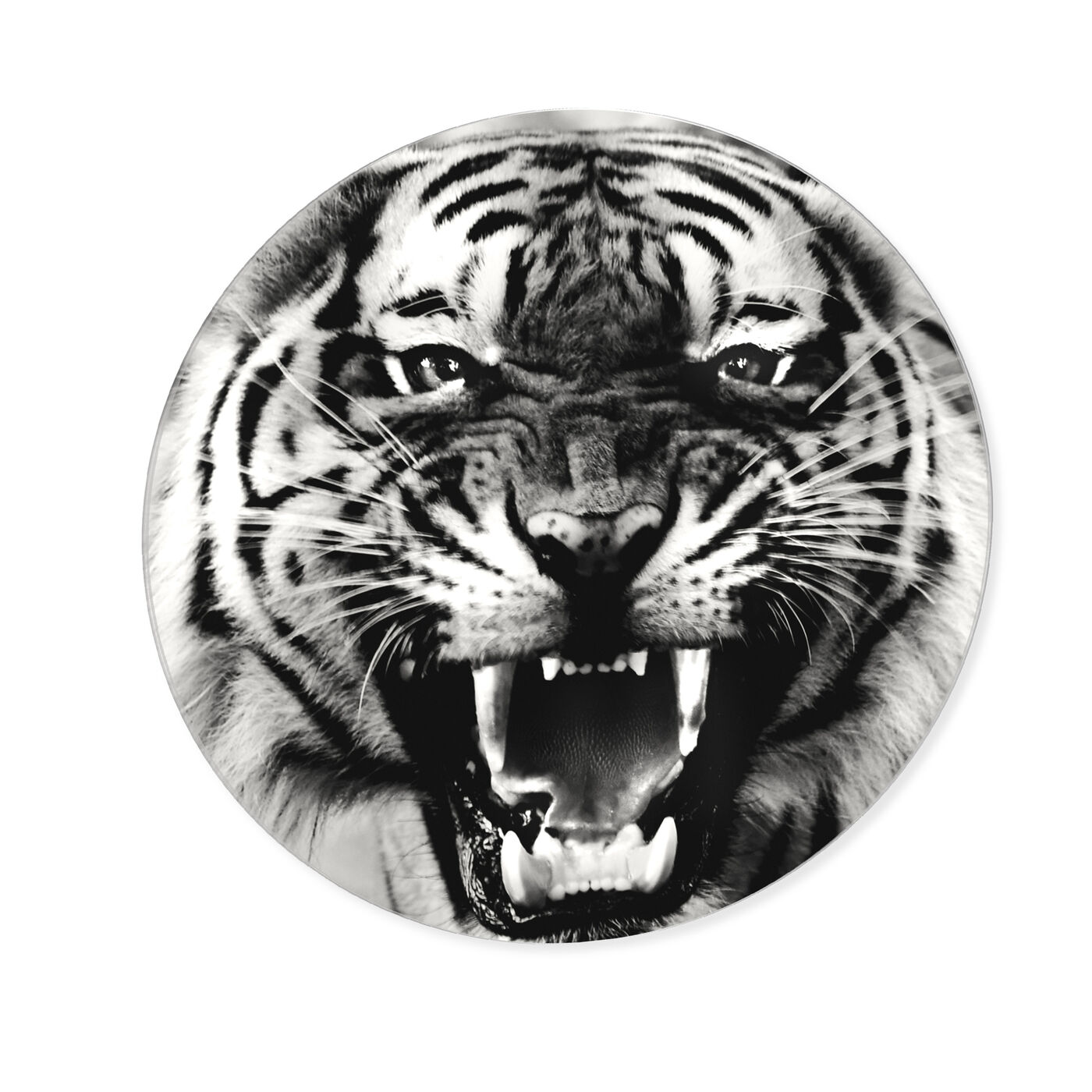 Wild Tiger - Round Acrylic Art