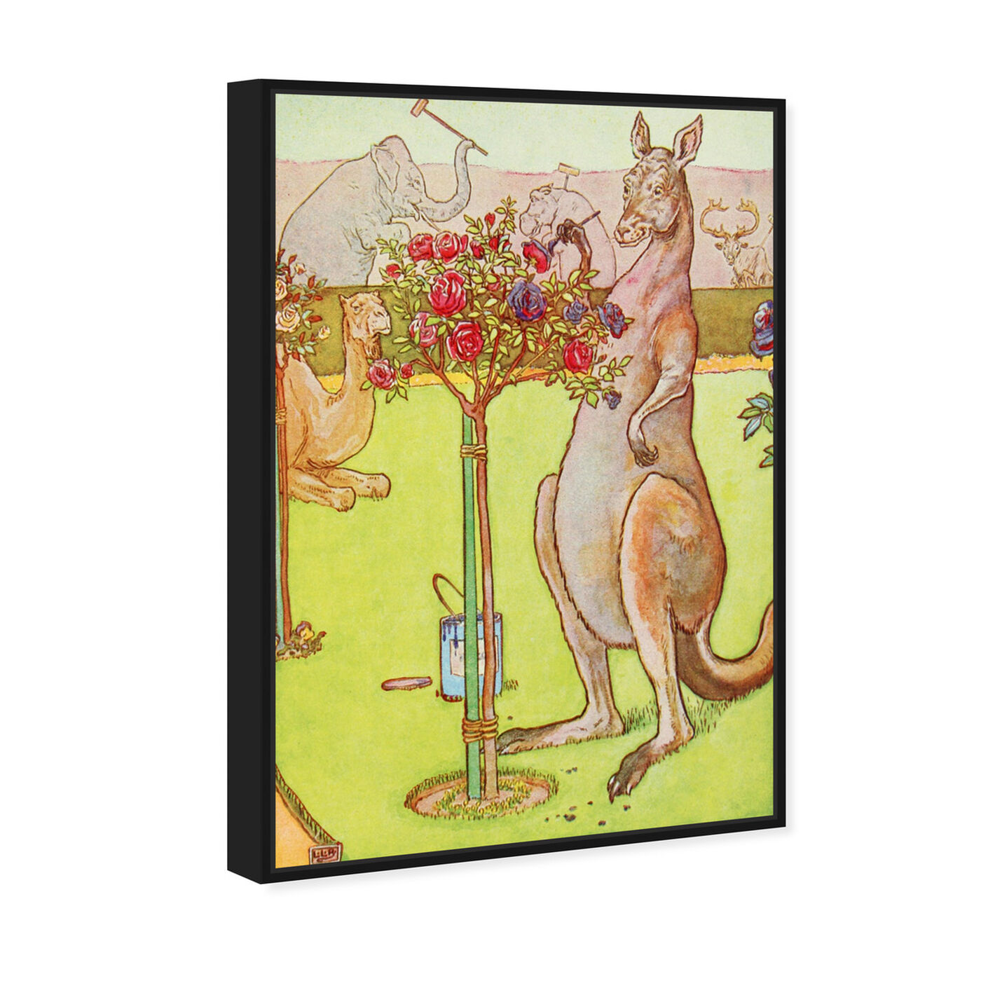 Angled view of Painting Kangaroo featuring animals and zoo and wild animals art.