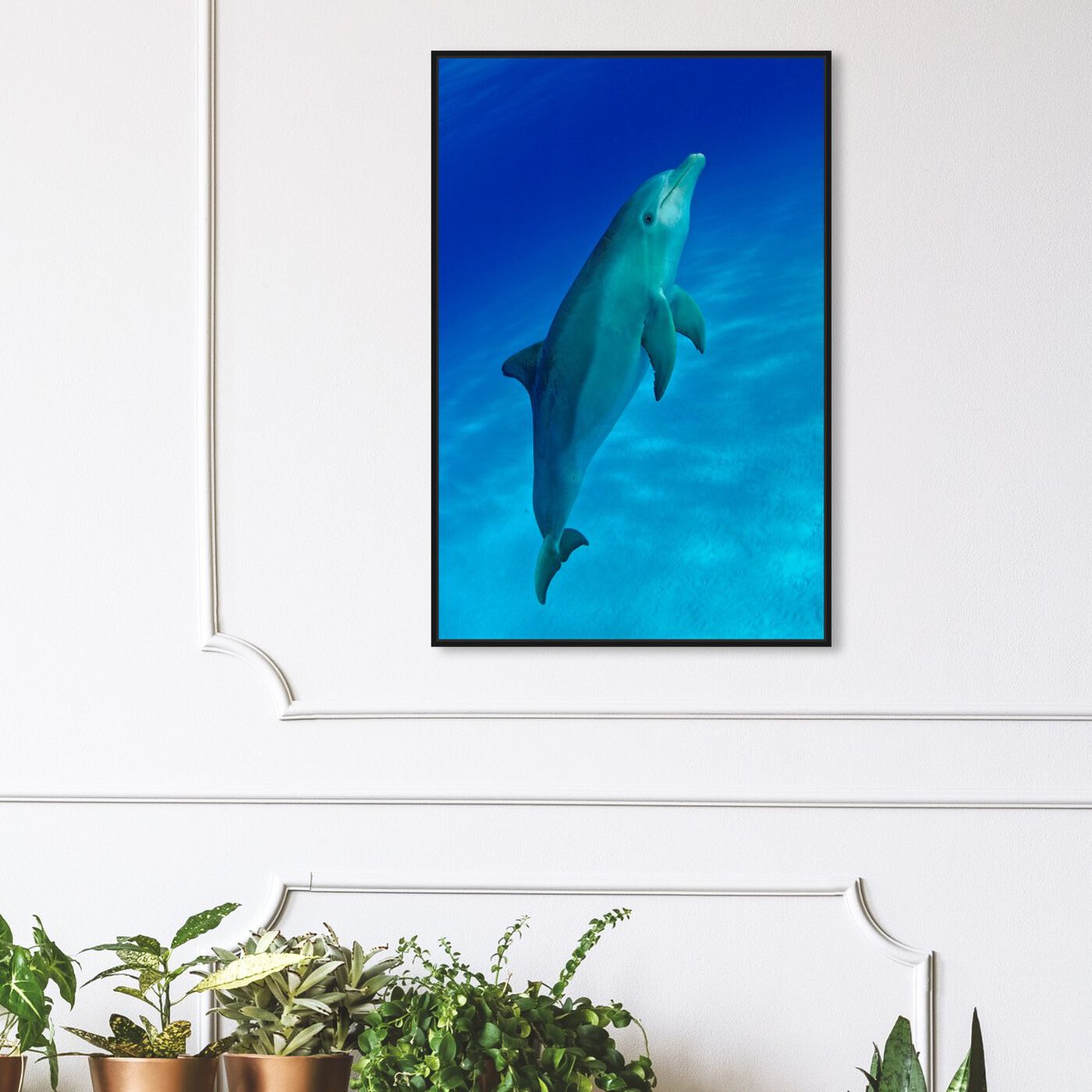 Hanging view of Bottlenose Dolphin by David Fleetham featuring nautical and coastal and marine life art.