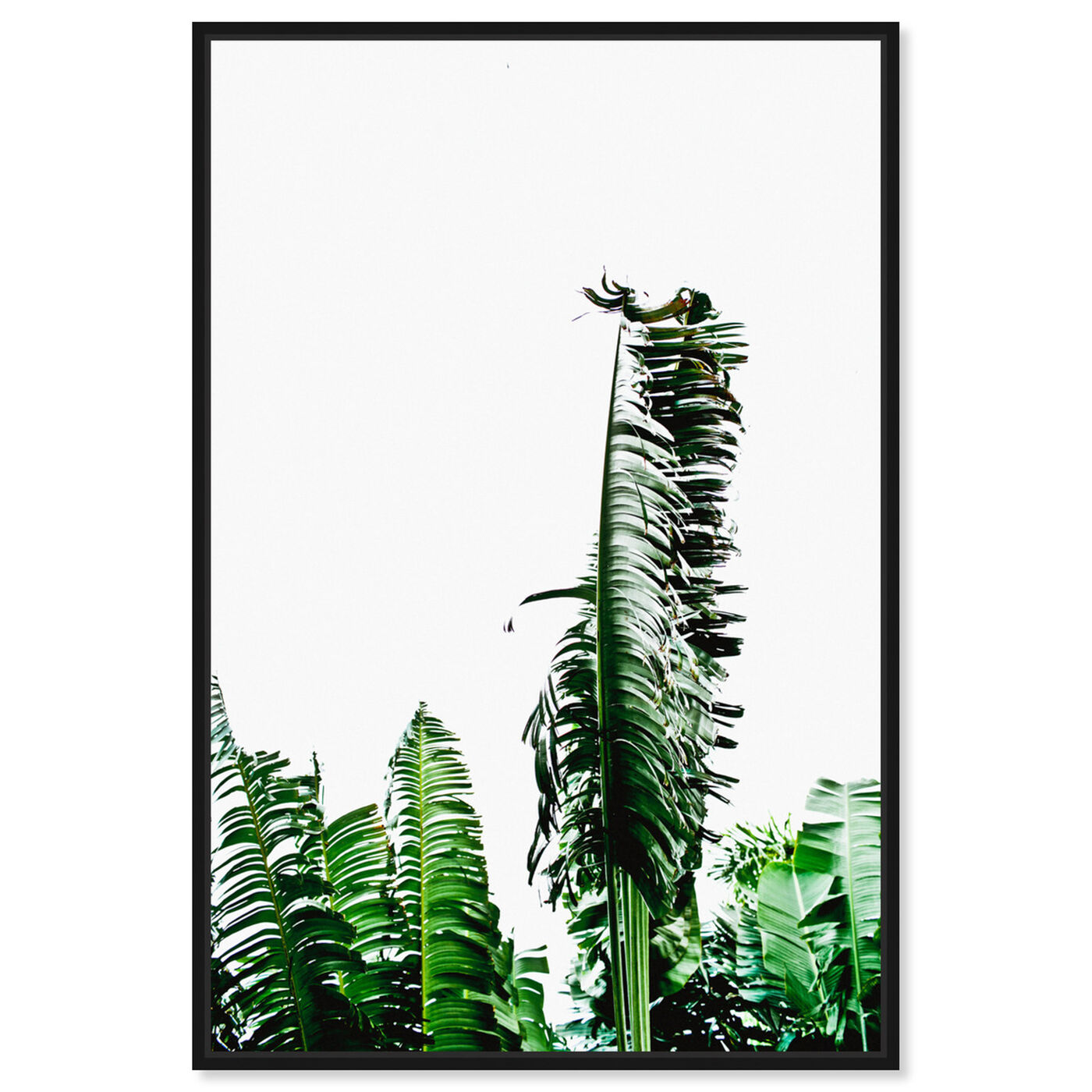 Front view of Beverly Hills Palm Leaves by Cassandra Eldridge I featuring floral and botanical and botanicals art.