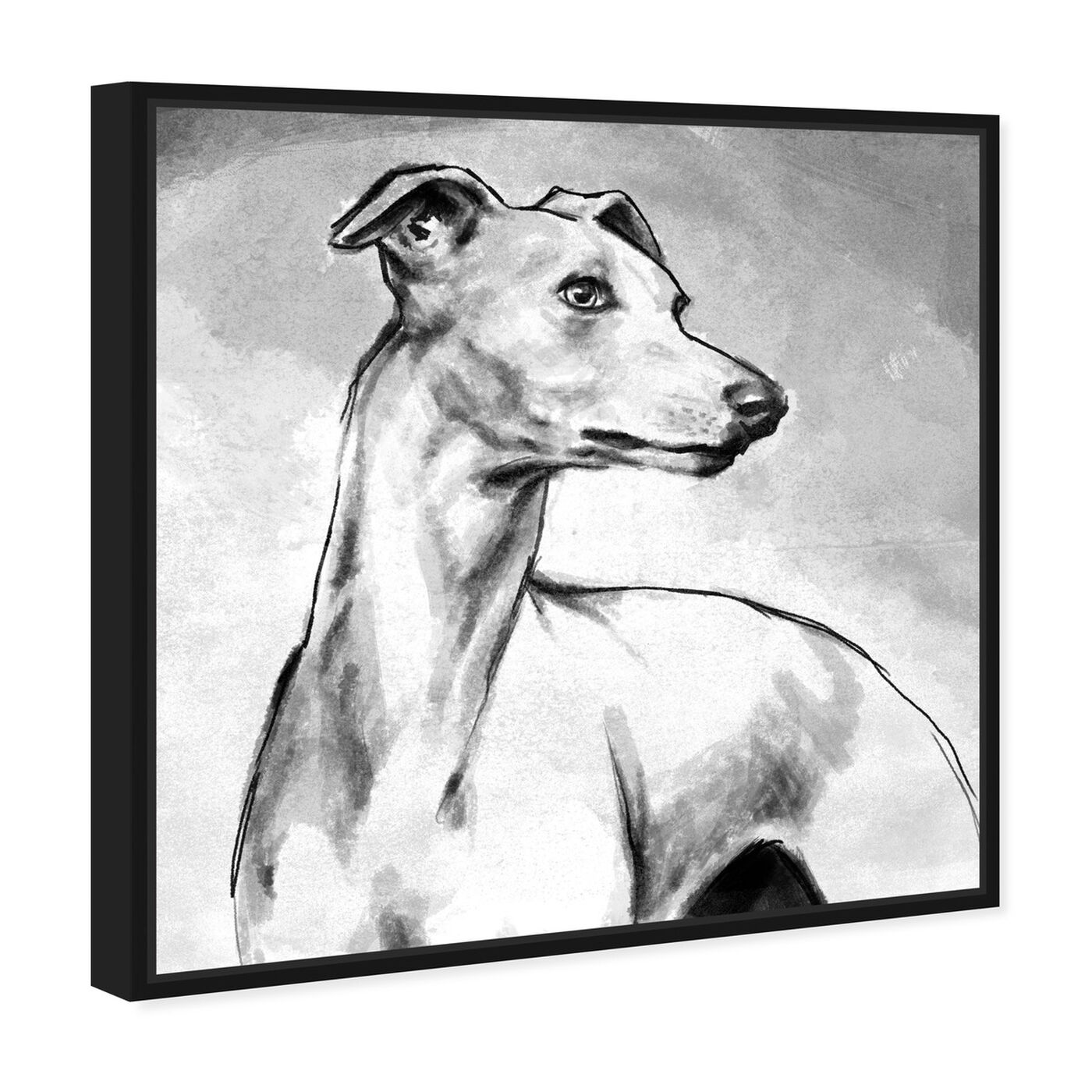 Angled view of Galgo featuring animals and dogs and puppies art.