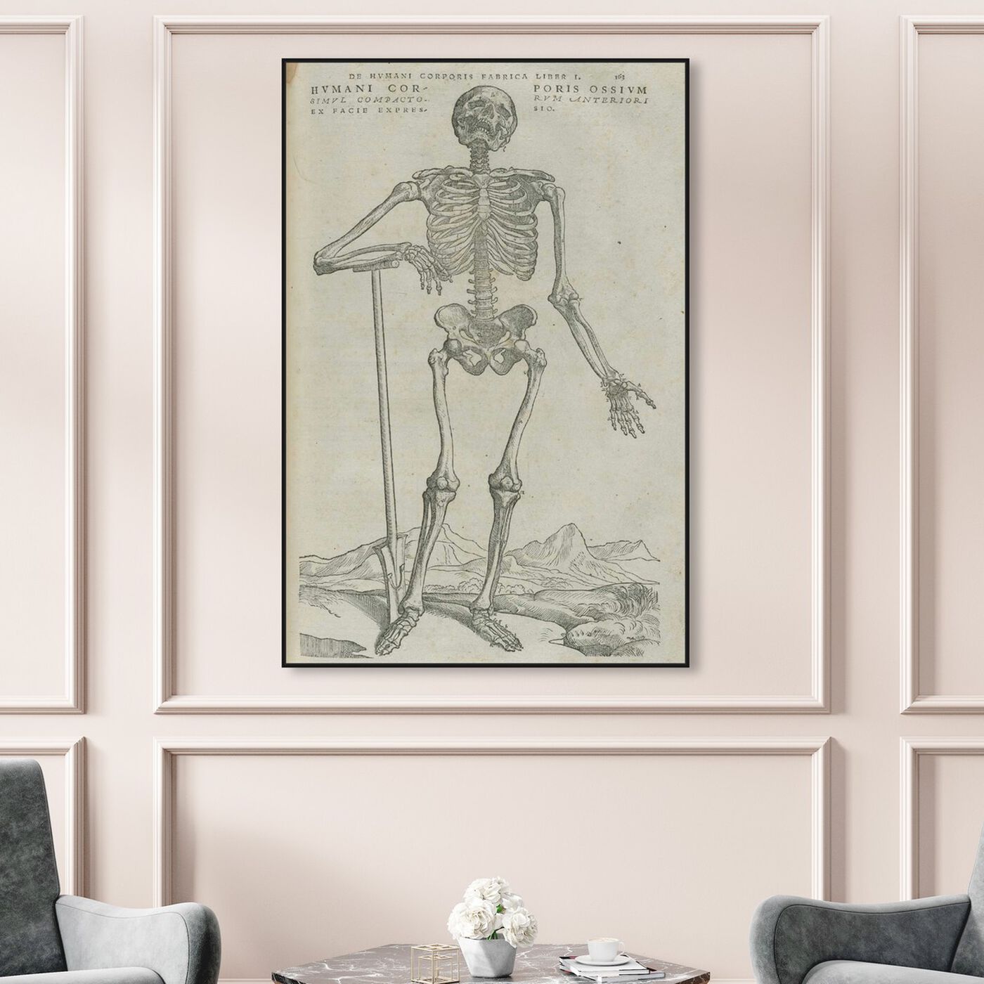 Hanging view of Vesalius VIII - The Art Cabinet featuring symbols and objects and skull art.