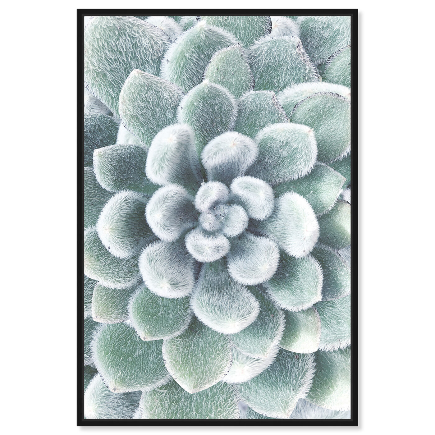 Front view of Succulent Zoom IV featuring floral and botanical and botanicals art.