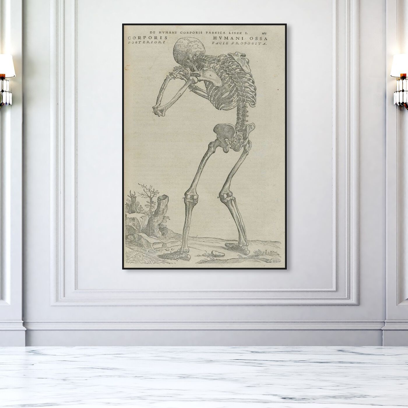 Hanging view of Vesalius VI - The Art Cabinet featuring classic and figurative and classical figures art.