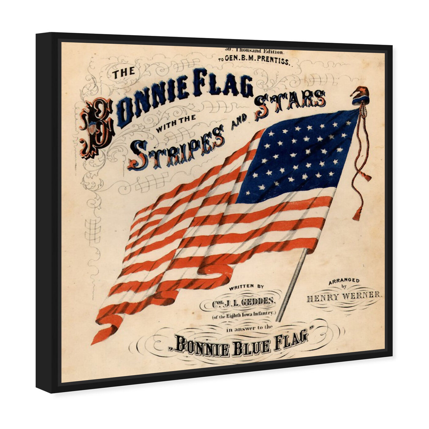 Angled view of Bonnie Flag featuring americana and patriotic and us flags art.