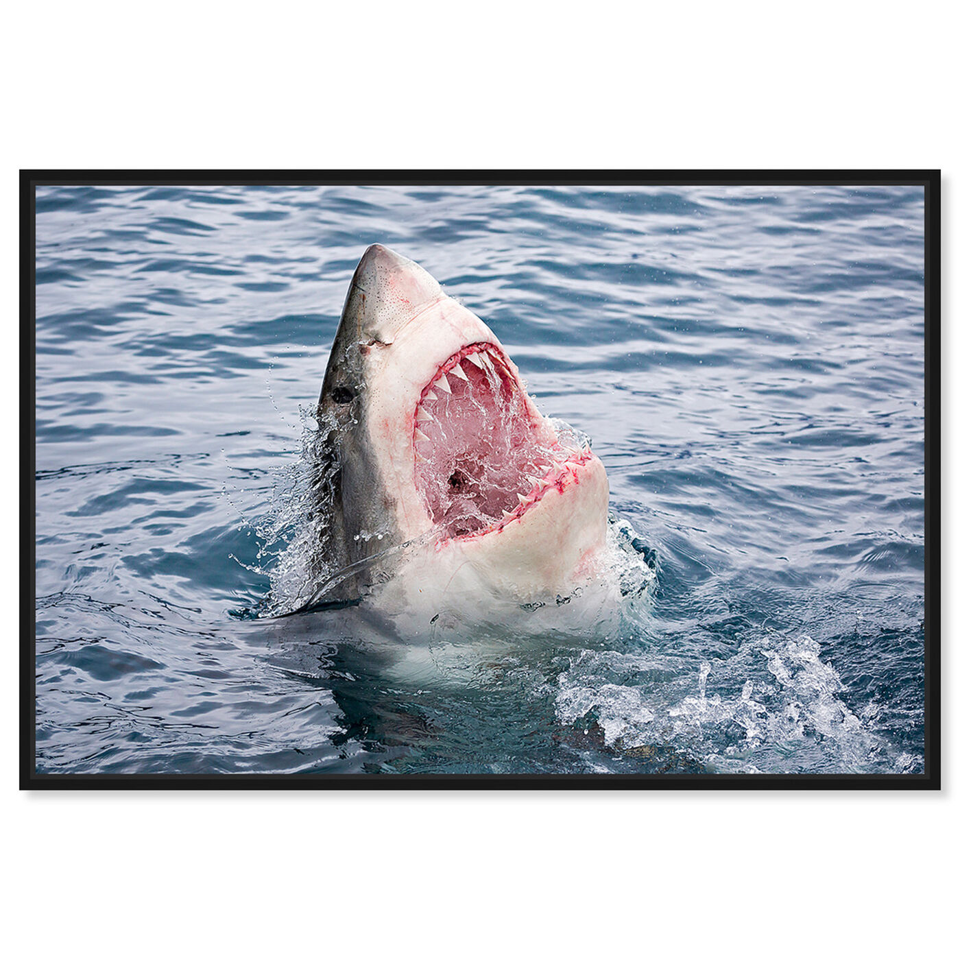 Front view of Geat White Shark Teeth by David Fleetham featuring animals and sea animals art.