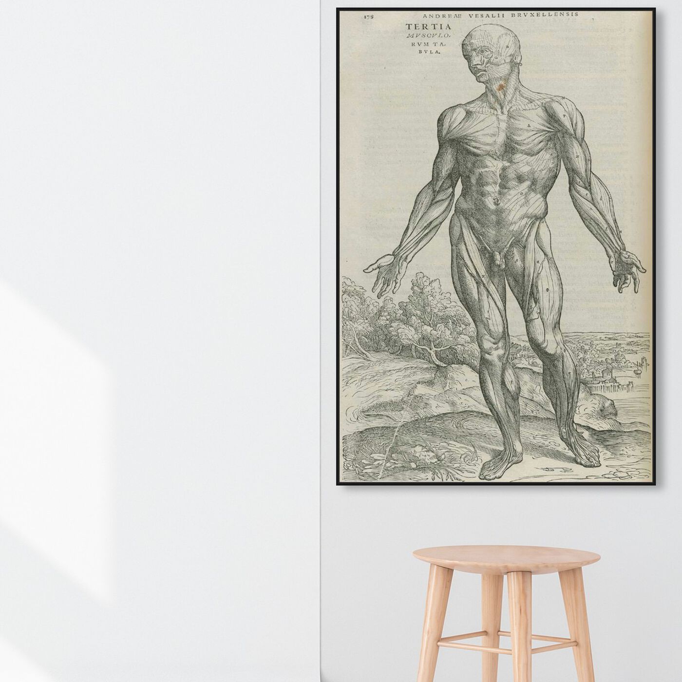 Hanging view of Vesalius IV - The Art Cabinet featuring classic and figurative and nudes art.