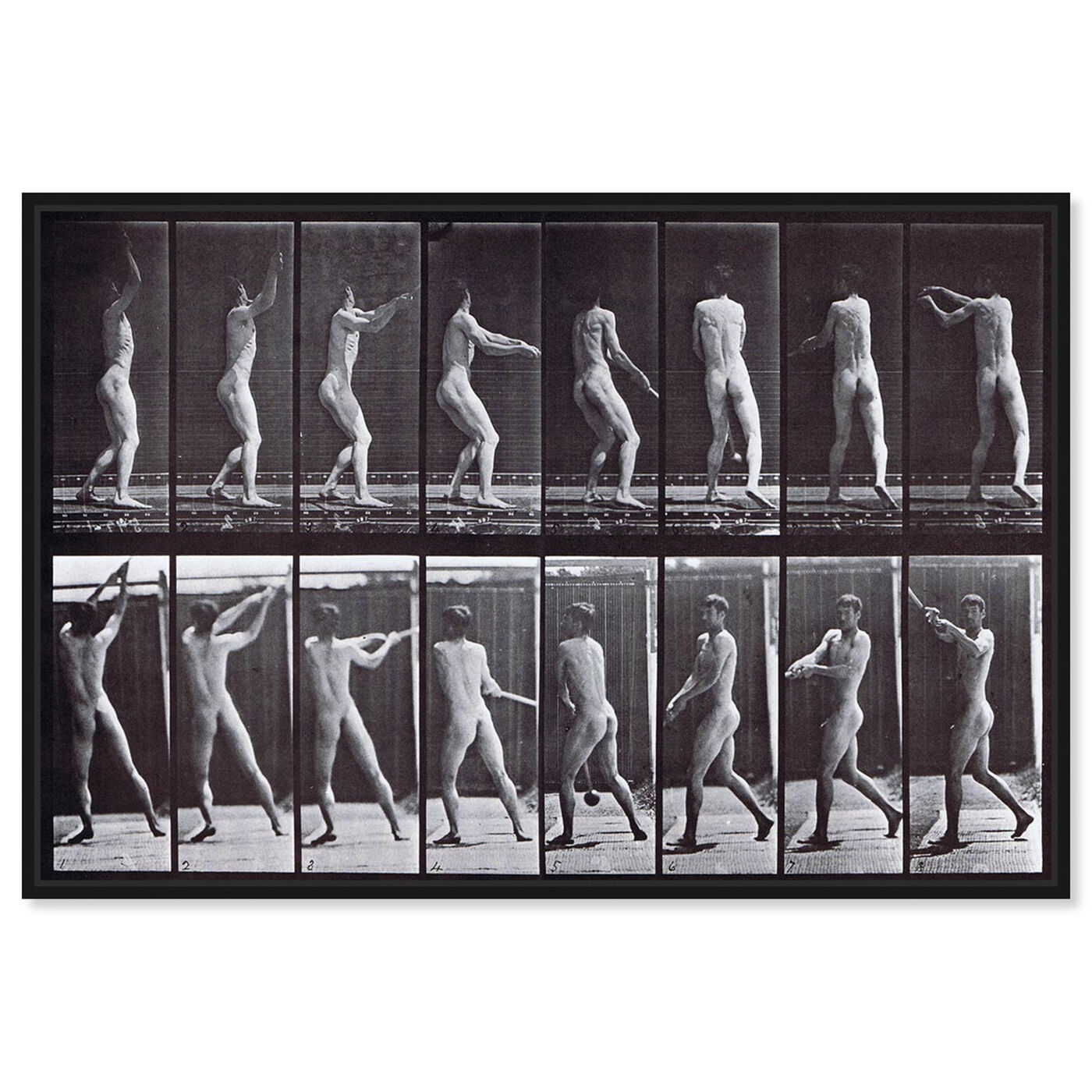 Front view of Muybridge's Male Throwing a Hammer featuring classic and figurative and nudes art.