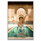 Front view of Animal Bath featuring animals and zoo and wild animals art. image number null