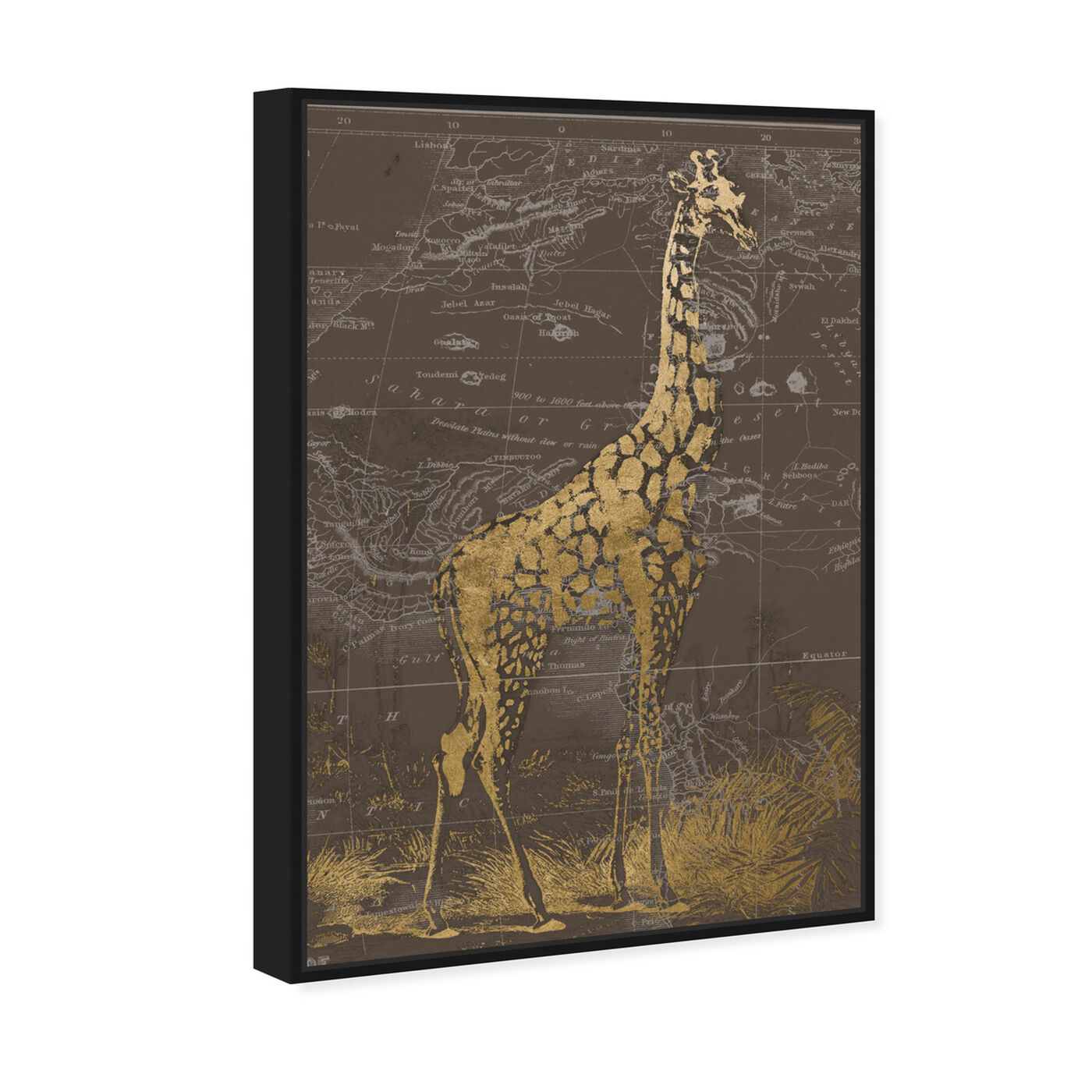 Angled view of Giraffe Sahara featuring animals and zoo and wild animals art.