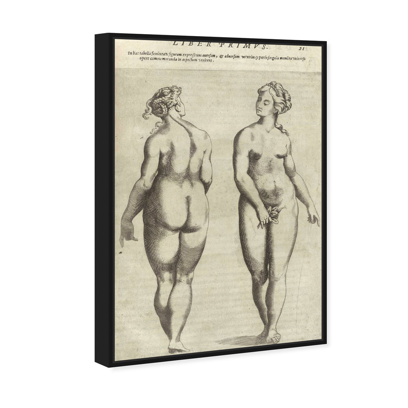 Angled view of Liber Primvs - The Art Cabinet featuring classic and figurative and nudes art.