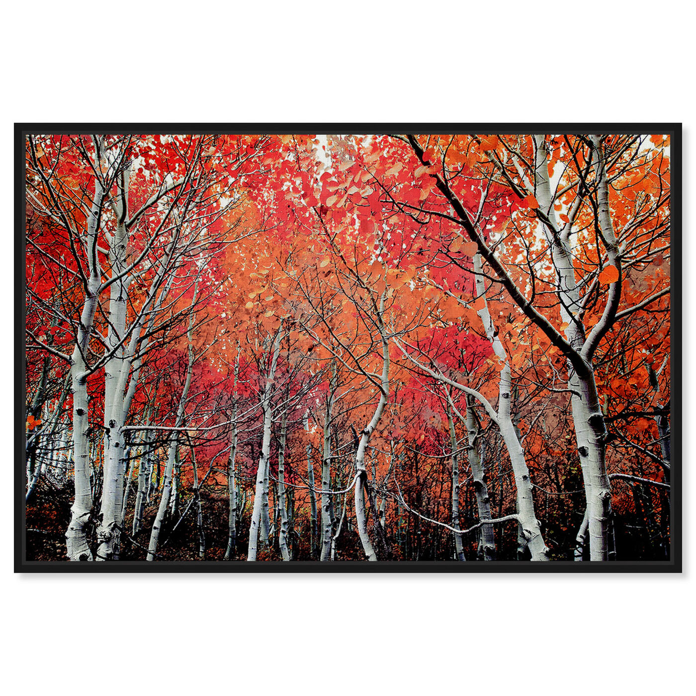 Front view of Autumn Forest featuring nature and landscape and forest landscapes art.