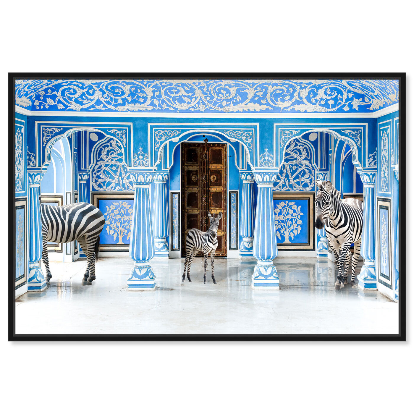 Front view of Zebra Blues featuring animals and zoo and wild animals art.