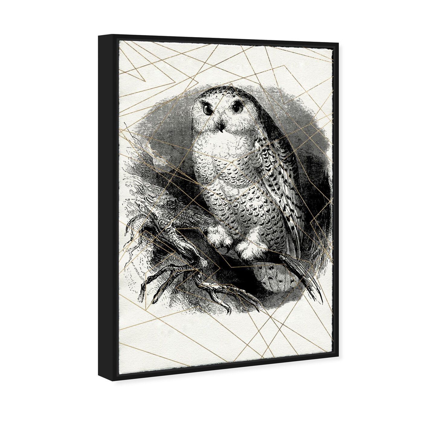 Angled view of Owl Print featuring animals and birds art.